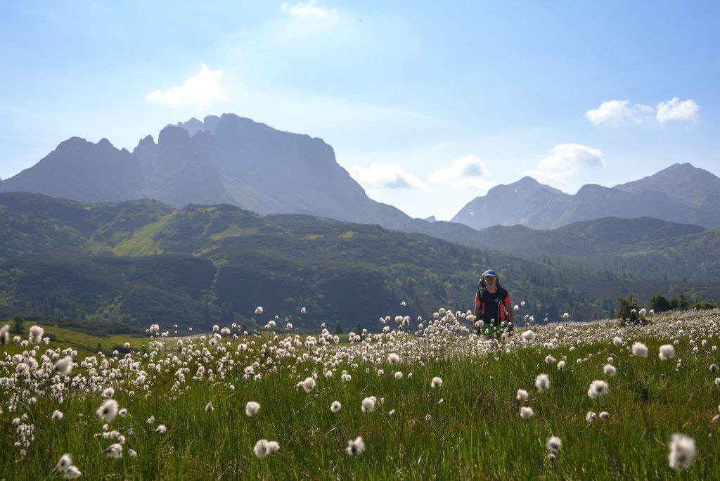 Alpi Carniche @Devis Solerti