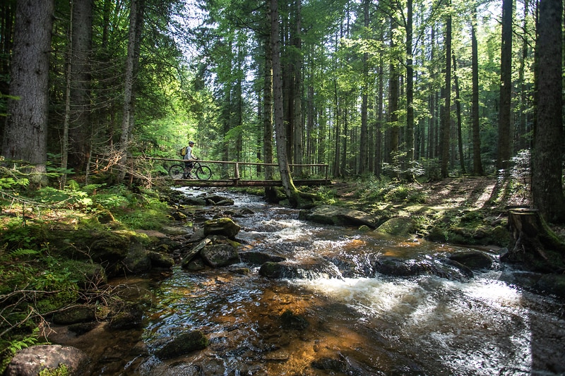 Sentiero del Pohorje, foto di Jošt Gantar