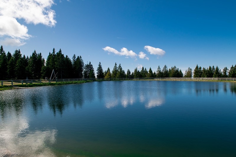 Sentiero del Pohorje