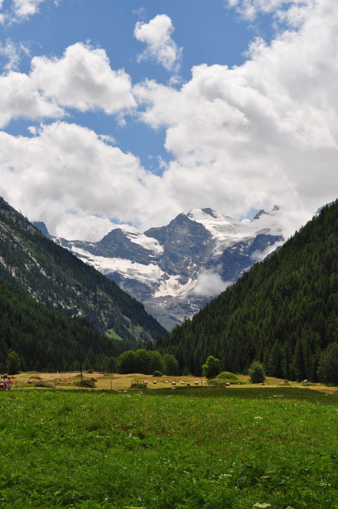 Gran Paradiso da Cogne - Foto Riotforlife - Wikimedia Commons, CC BY-SA 3.0