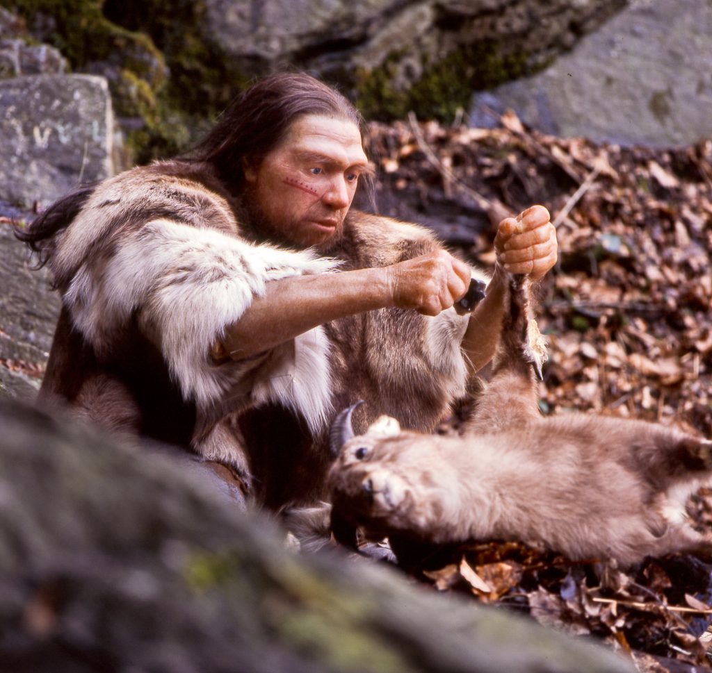 neanderrthal