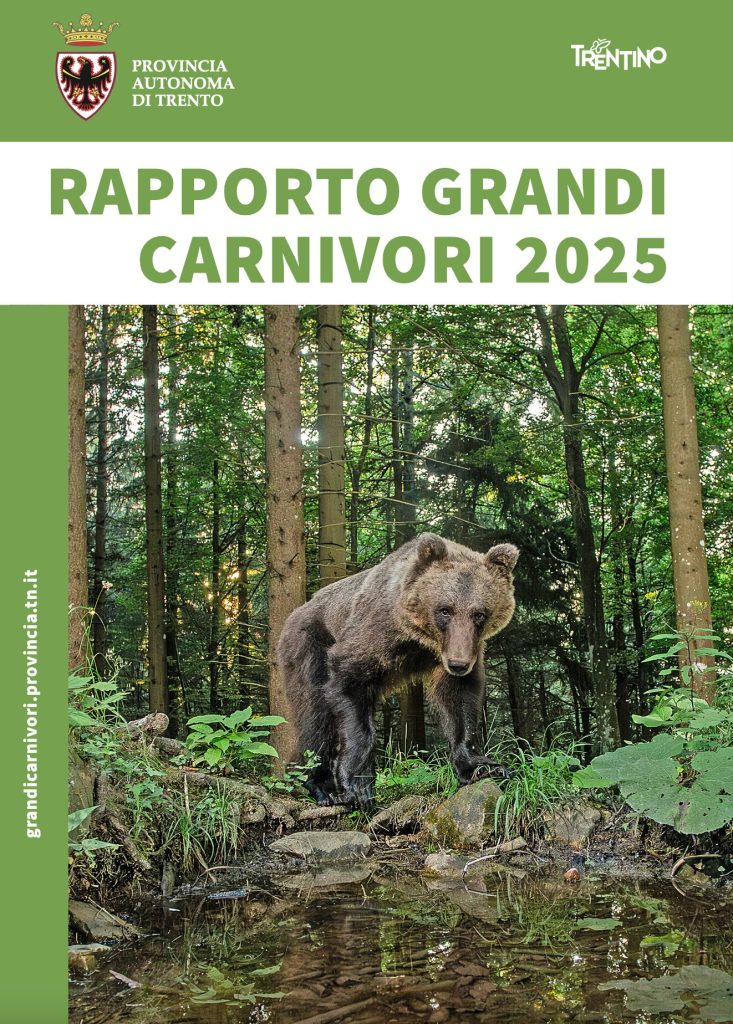 Copertina Rapporto Grandi Carnivori 