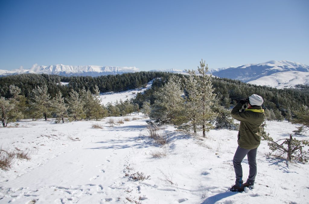 Monitoraggio corridoio ecologico - Foto Rewilding Apennines