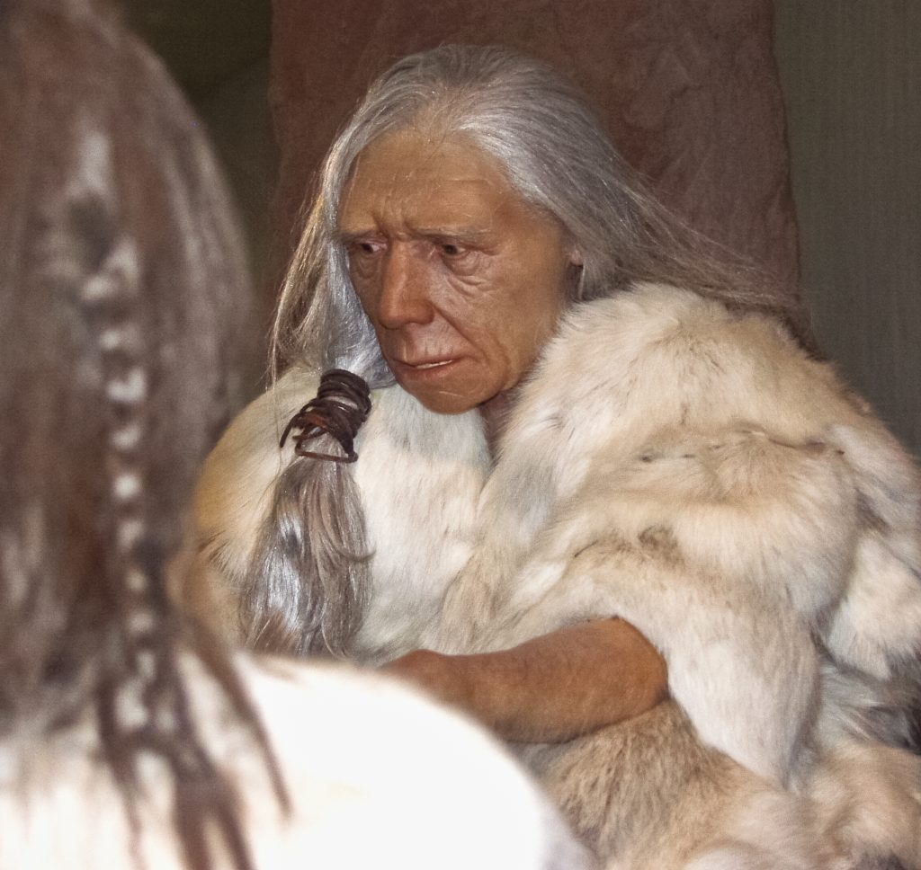 Ricostruzione di una anziana Neanderthal al Neanderthal Museum di Mettmann - Foto Fährtenleser - Wikimedia Commons, CC BY-SA 4.0