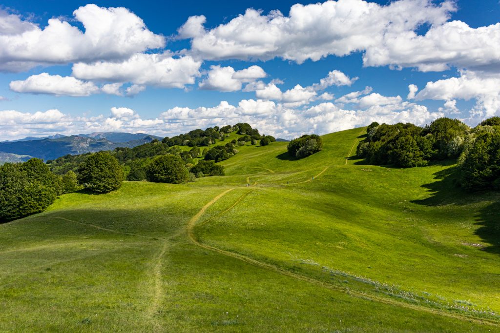 Pian della Cavalla - Foto Francesco Mocellin - Wikimedia Commons, CC BY-SA 4.0