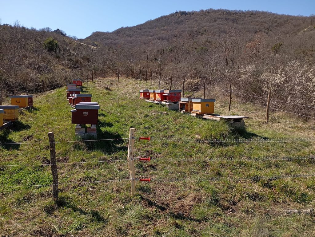 Recinto elettrificato su apiario - Foto Rewilding Apennines
