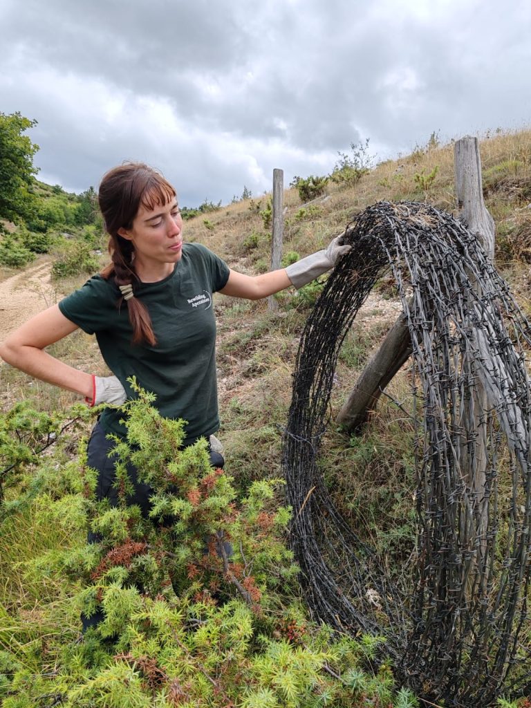Rimozione filo abbandonato in montagna - Foto Rewilding Apennines