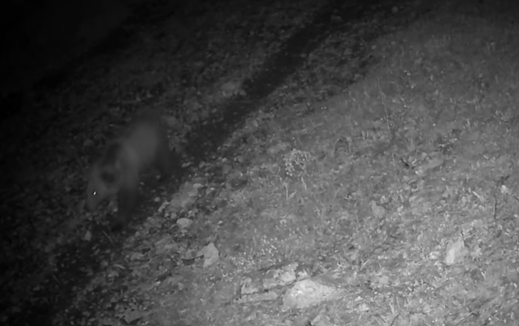 Un frame del video del Parco Monti Simbruini