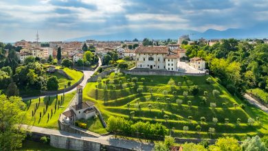 friuli