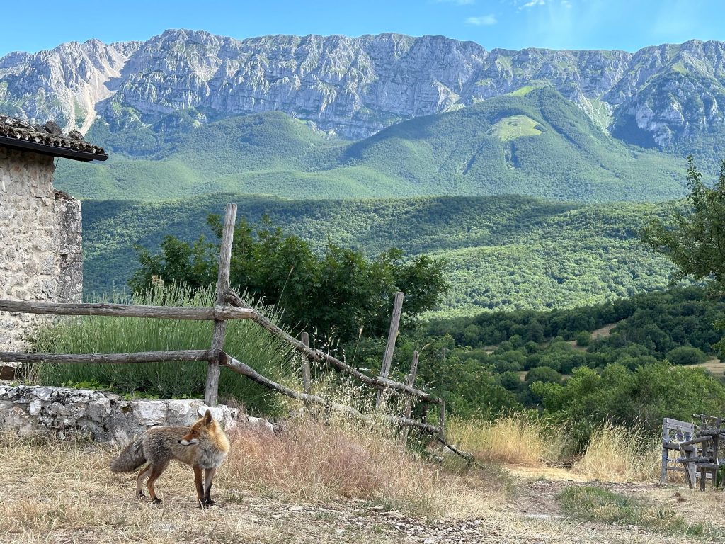 Foto Cooperativa di Comunità "Cuore delle Valli"