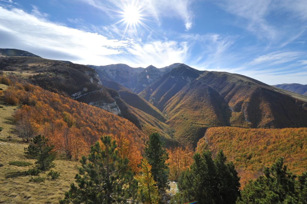 Valle dell