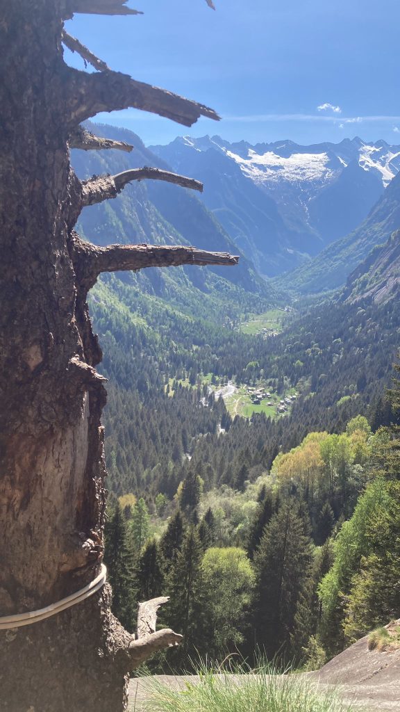 Foto Luca Schiera