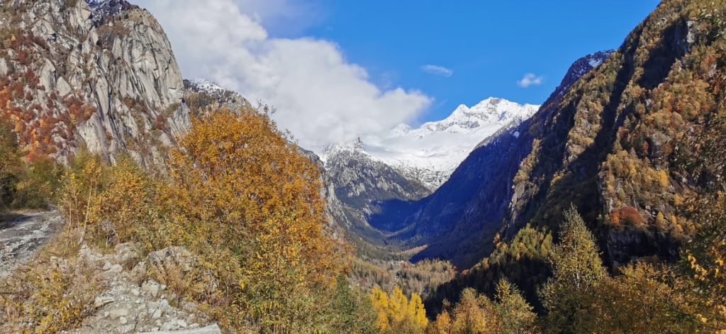 Foto Luca Schiera