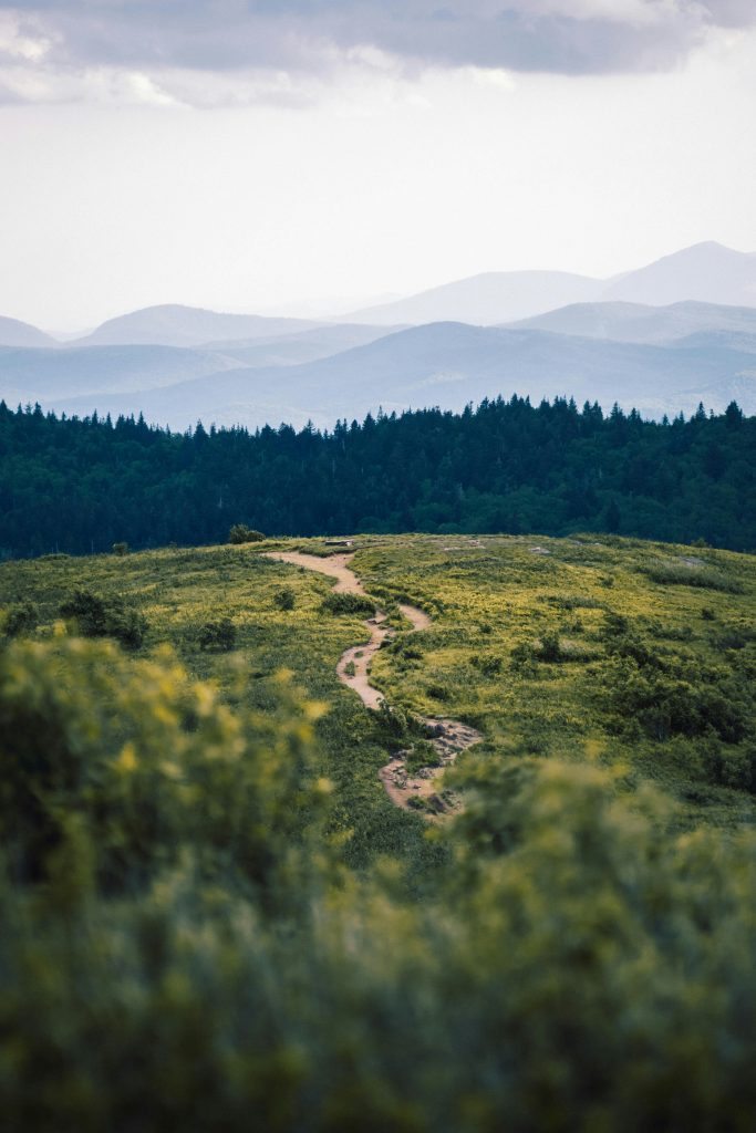 Sentiero degli Appalachi. Foto di Alex Diaz @Unsplash