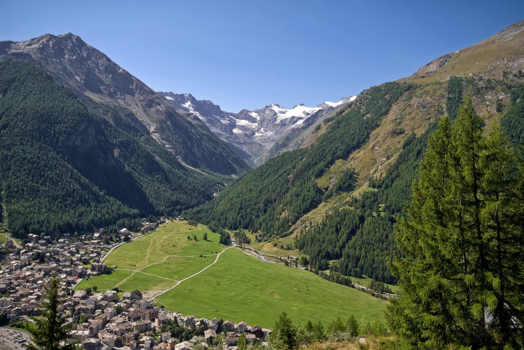 Foto di Sergio Cerrato - Italia da Pixabay