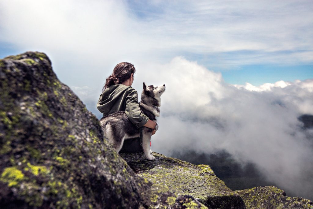 Foto di Pexels da Pixabay