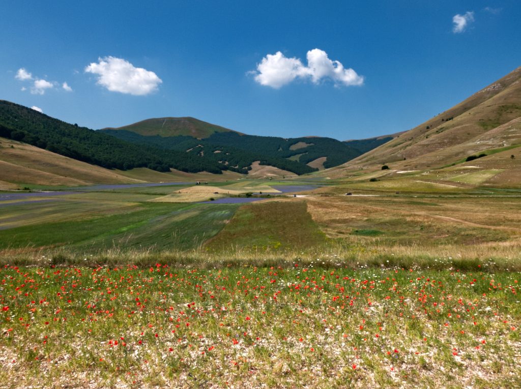 Piana di Castelluccio - Foto di Pixamio da Pixabay