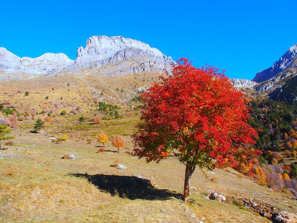 Autunno al Rifugio Mongioie - Foto Fede1983g - Wikimedia Commons, CC BY-SA 4.0
