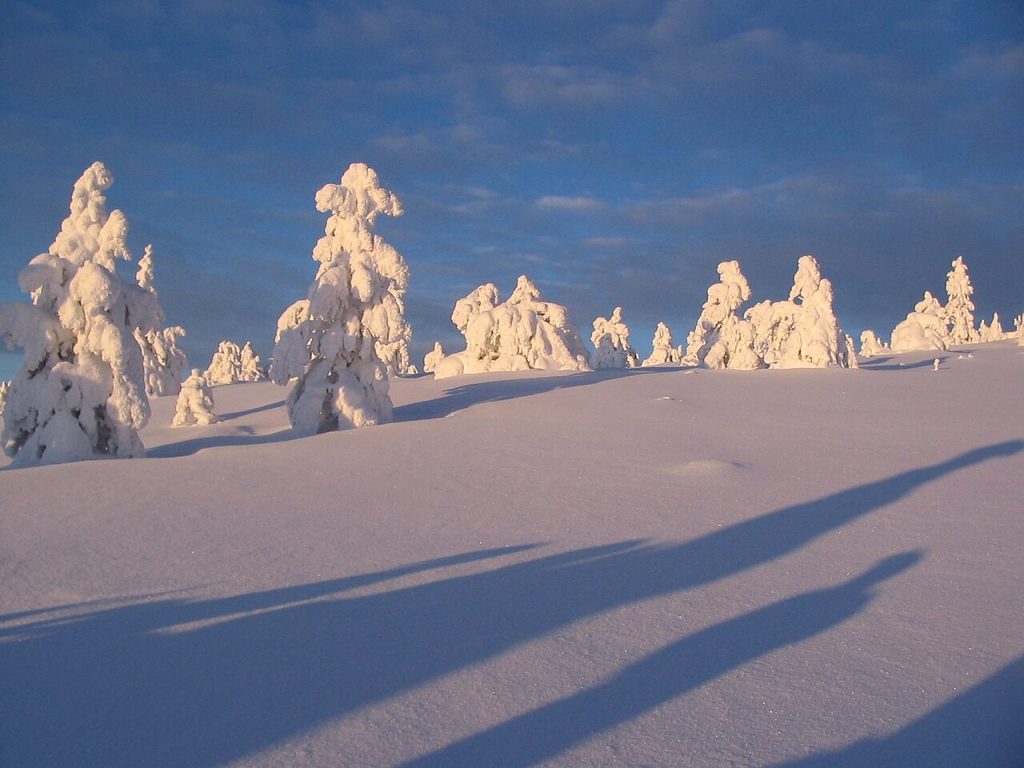 Levi in inverno - Foto aristidov - Wikimedia Commons, CC BY 3.0