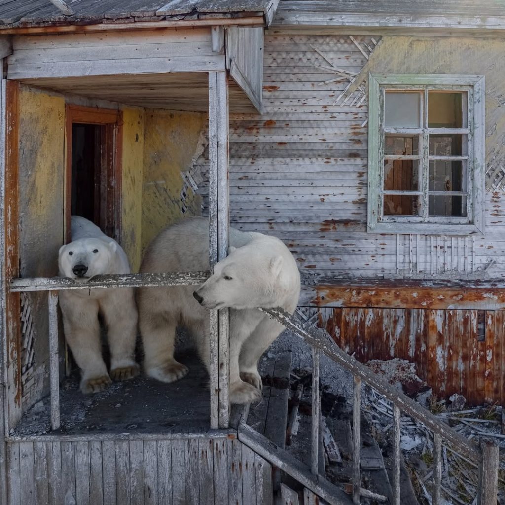 Foto Vadim Makhorov