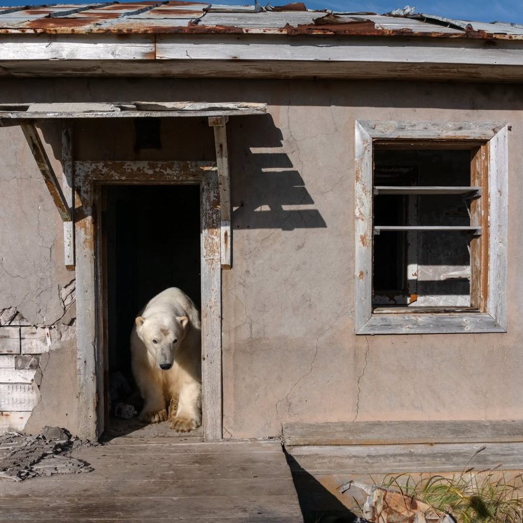 Foto Vadim Makhorov