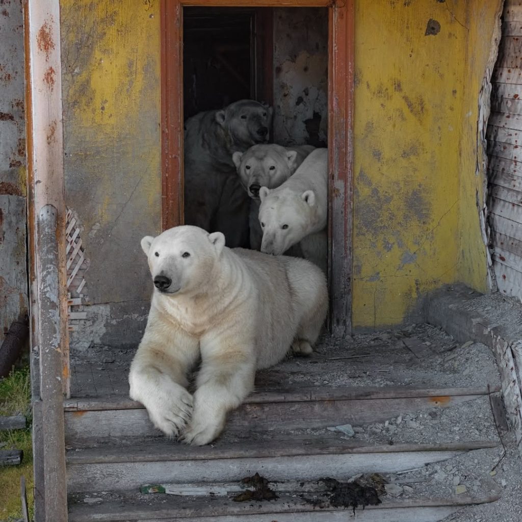 Foto Vadim Makhorov