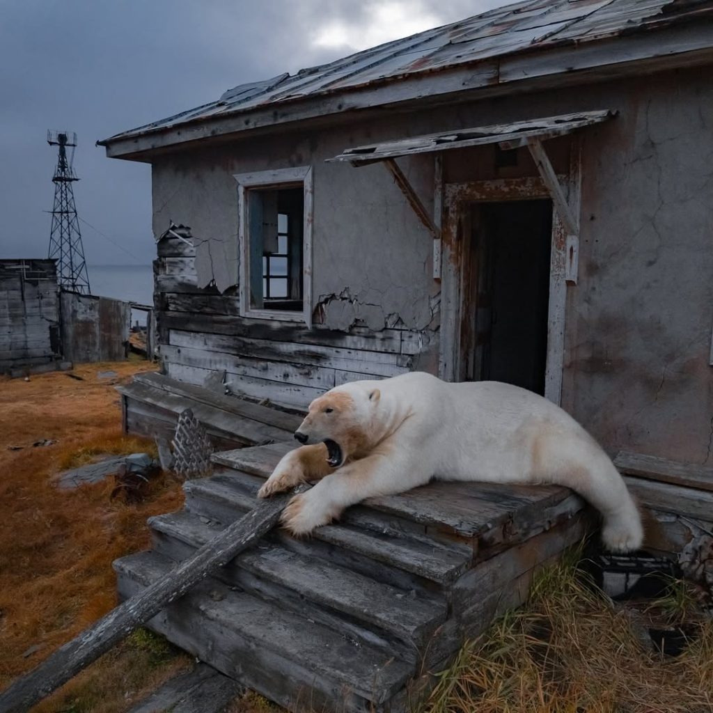 Foto Vadim Makhorov