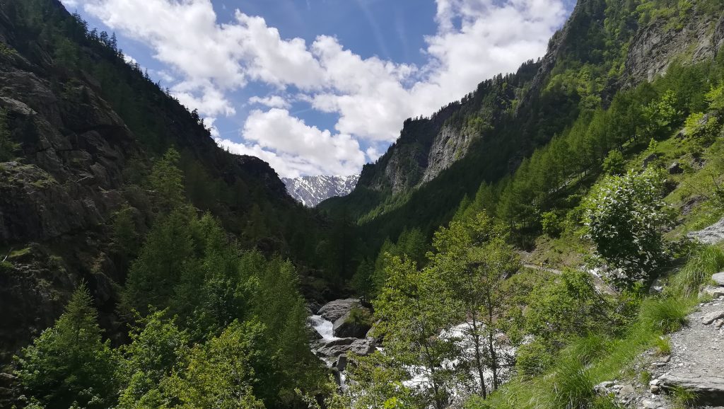 Alta Val Pellice - Foto Hairless Heart - Wikimedia Commons, CC BY-SA 4.0
