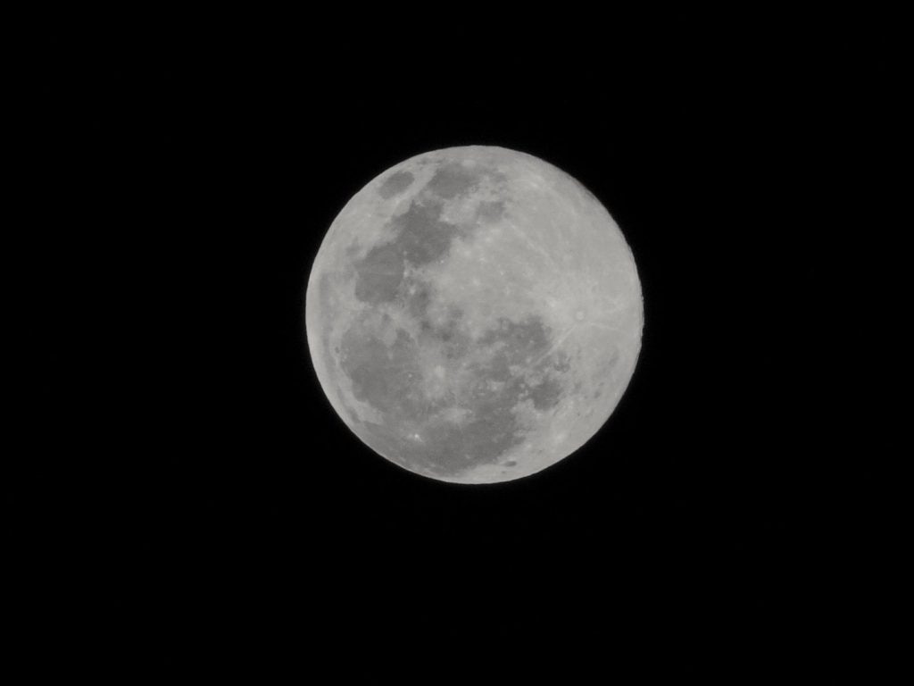 Luna Blu, 31 luglio 2015 - Foto Tatters ✾ from Brisbane, Australia - "Blue moon" - Wikimedia Commons, CC BY-SA 2.0