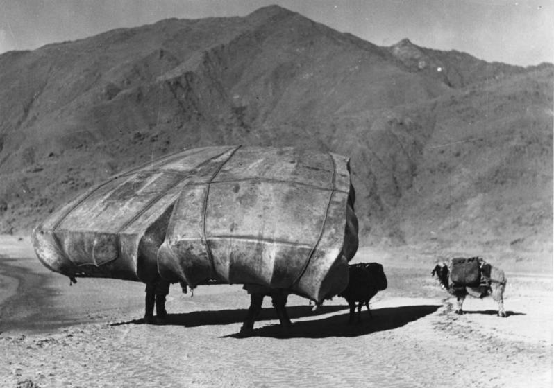 Immagine storica della pastorizia in Tibet - Foto Bundesarchiv, Bild 135-BB-082-10 / Beger, Bruno - Wikimedia Commons, CC-BY-SA 3.0