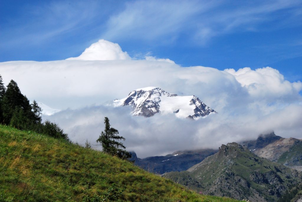 @Monterosa