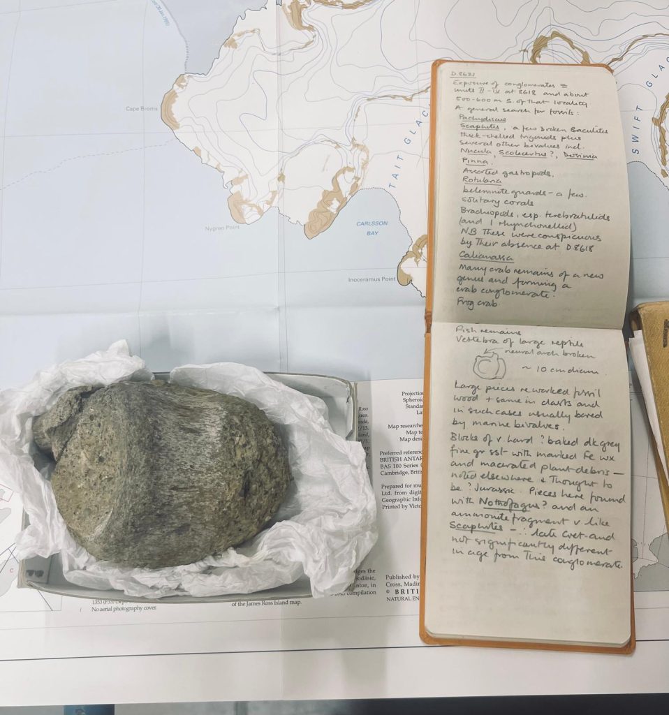 Il taccuino di appunti geologici del 1985 appartenente al dottor Mike Thomson del British Antarctic Survey, accanto alla prima vertebra fossile di dinosauro mai rinvenuta in Antartide. Credit: British Antarctic Survey