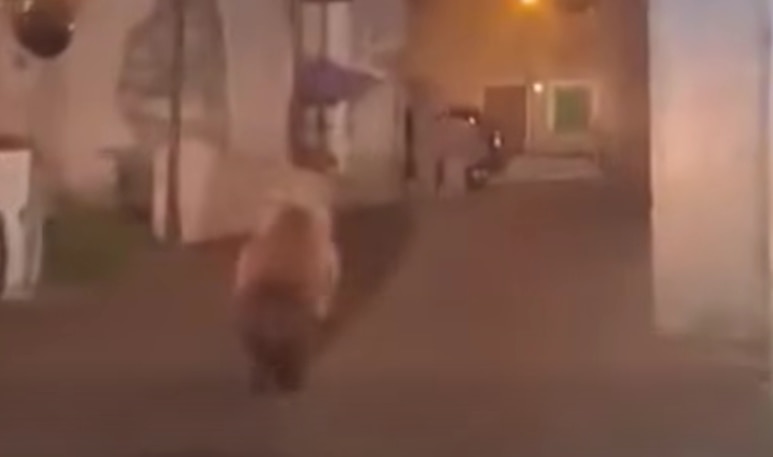 Un frame del video dell