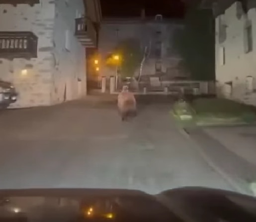 Un frame del video dell