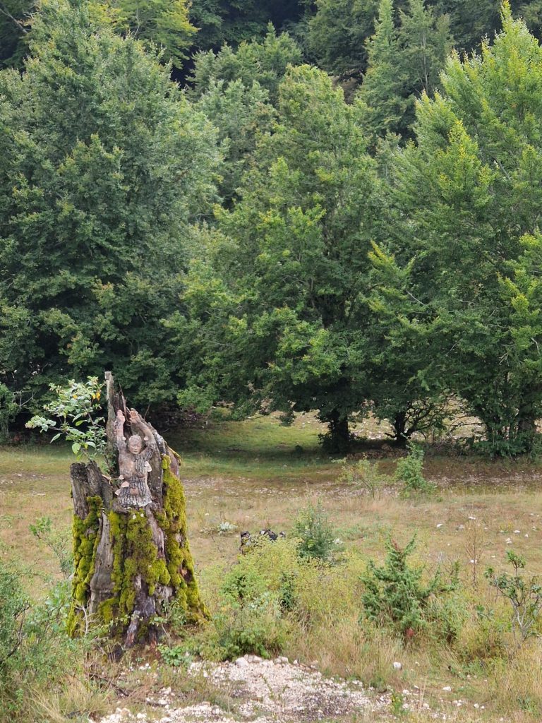 Arteparco, PNALM - Foto Tatiana Marras