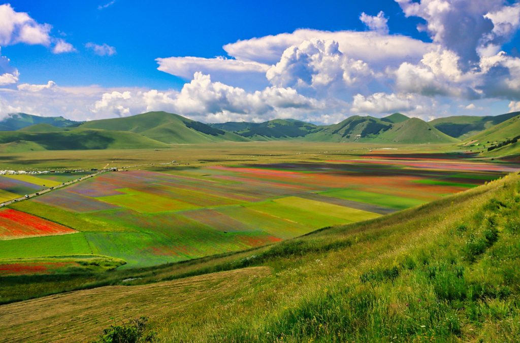 fioritura di castelluccio