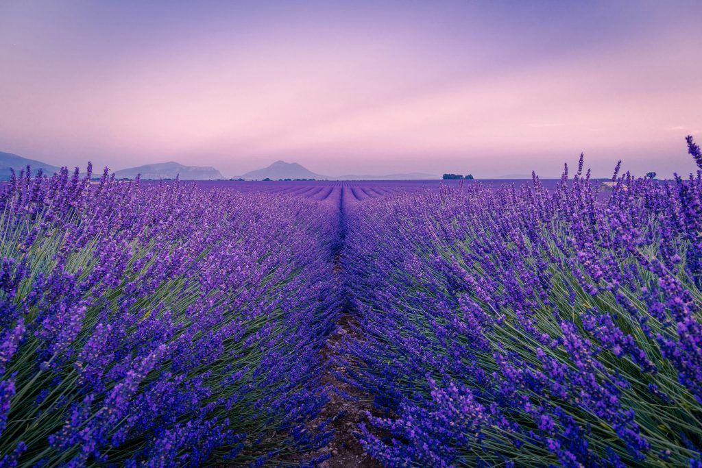 Foto di Antony BEC su Unsplash