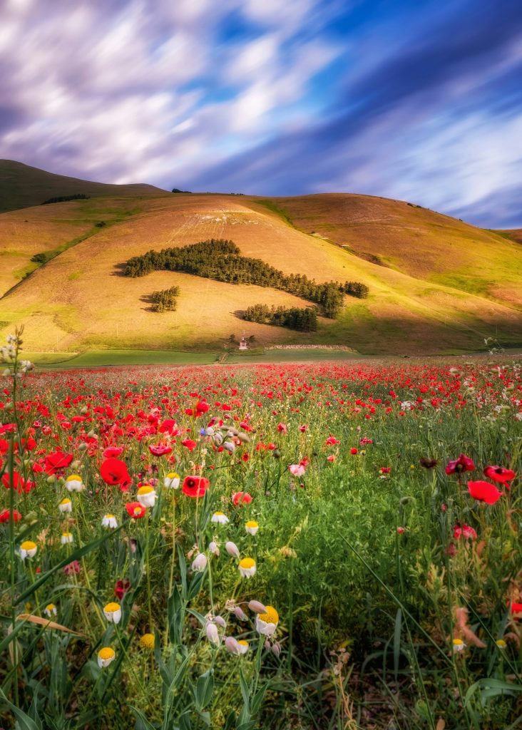 Foto di repertorio di Emanuele Bianconi su Unsplash