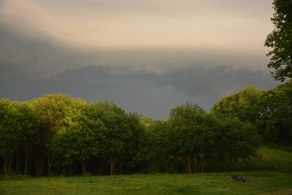 Temporale - Foto di JackieLou DL da Pixabay