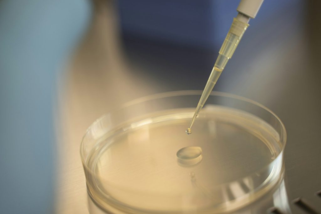 Una goccia di coltura liquida contenente il lievito viene trasferita su una piastra di Petri con terreno di coltura sterile per ulteriori analisi. Foto Eurac Research / Andrea De Giovanni