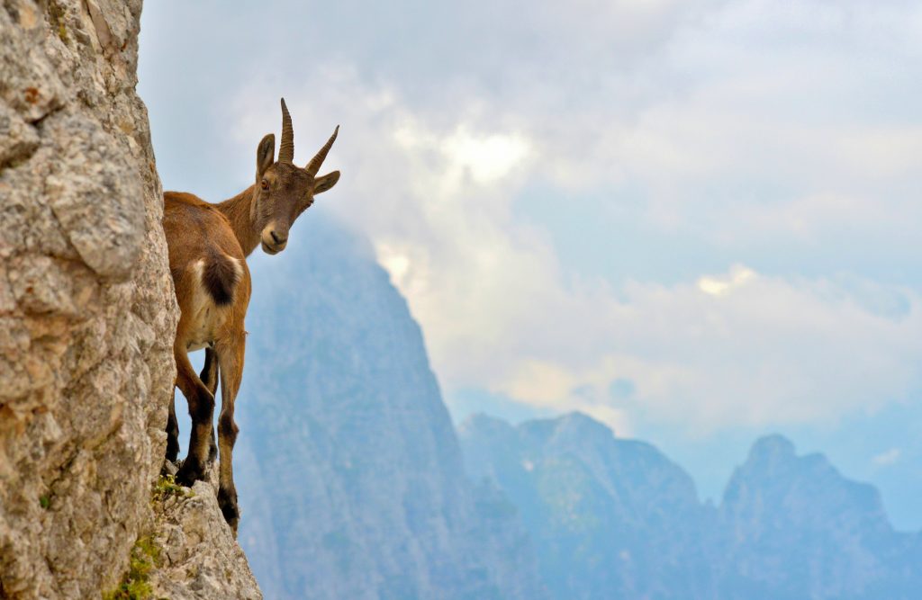 Foto di Stefano Zocca su Unsplash