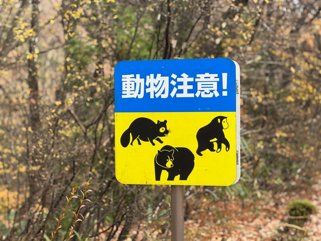 Cartello di avviso di presenza di fauna selvatica - Foto di Suzi Kim su Unsplash