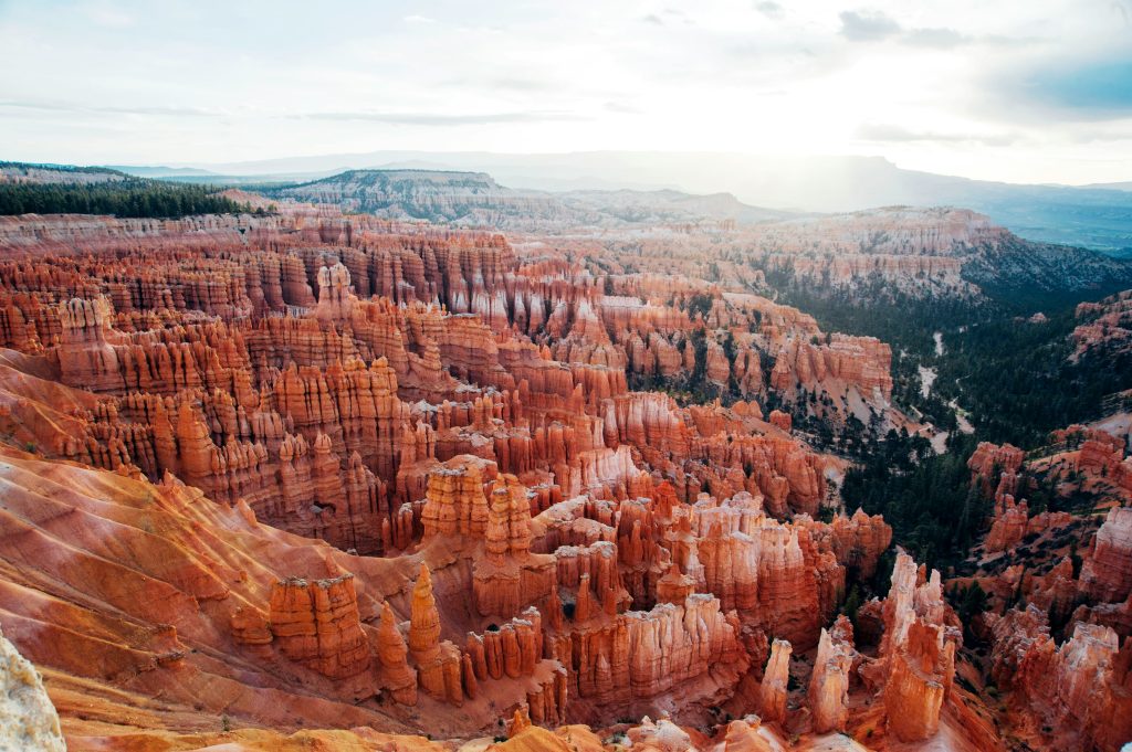Foto di Tracy Zhang su Unsplash