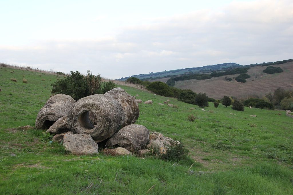 Foresta pietrificata di Carrucana - Foto Gianni Careddu - Wikimedia Commons, CC BY-SA 4.0