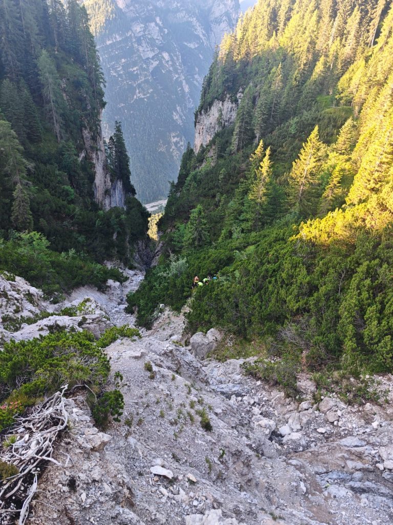 Durante le ricercche. Foto CNSAS FVG
