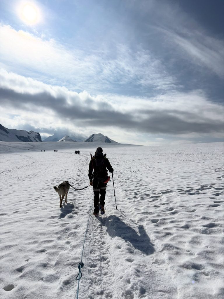 Carlo e Thor verso il Breithorn occidentale - Foto Carlo Costa