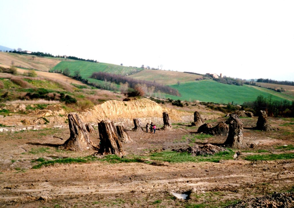 Foresta fossile di Dunarobba - Foto d'archivio Wikimedia Commons, CC BY-SA 3.0