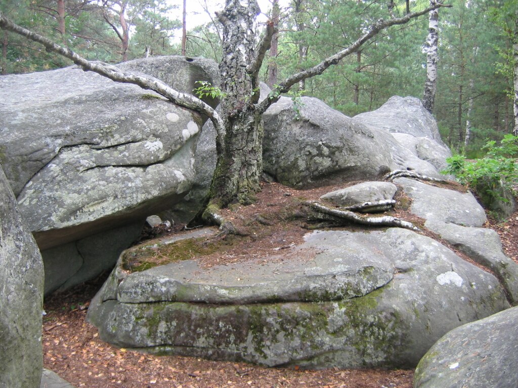Fontainebleau - Foto Wikimedia Commons, Public Domain