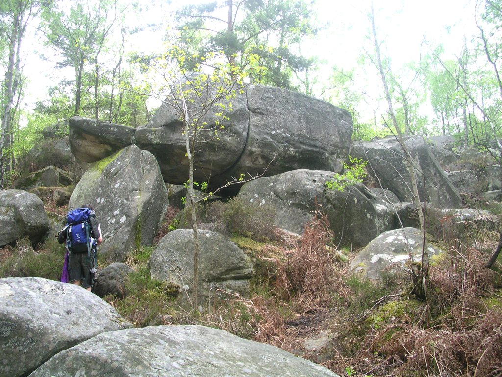 Fontainebleau - Foto Wikimedia Commons, Public Domain