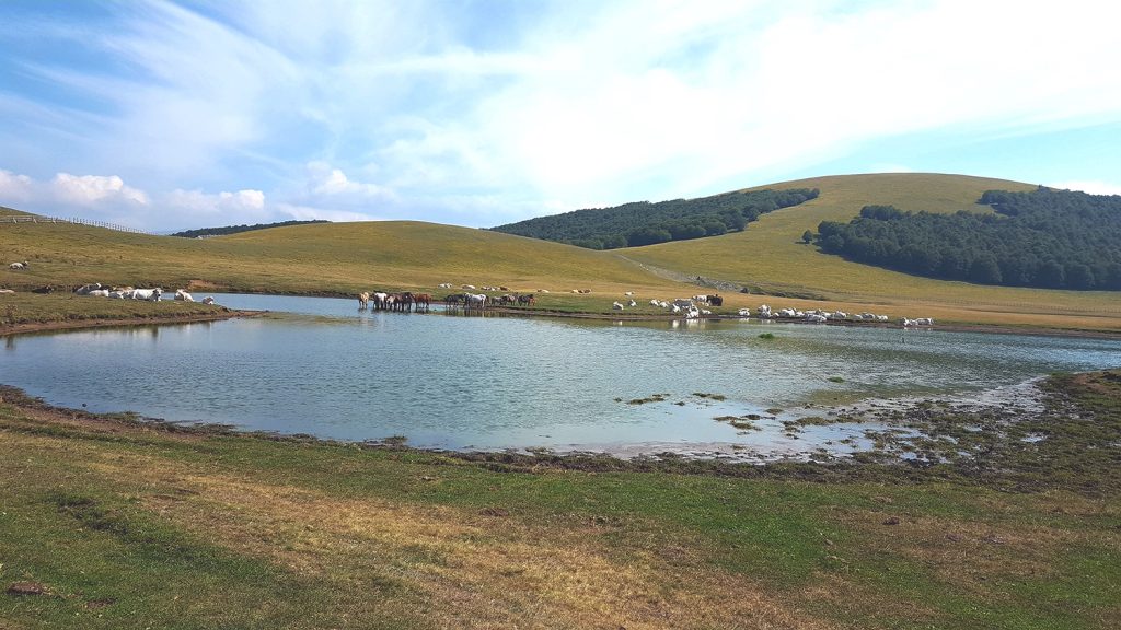 Pantani di Accumoli. Foto Salviamo L